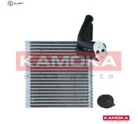 EVAPORATOR AIR CONDITIONING 7770034 FOR FORD FIESTA/VI/Van F6JB/F6JDRTJD 1.4L