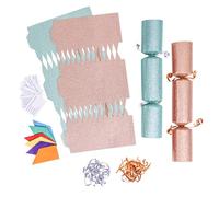 evelay 12 Make Your Own Christmas Cracker Kit DIY Rose Gold & Light Green Glitter Crackers Hats Snaps Jokes (Rose Gold, Light Green)