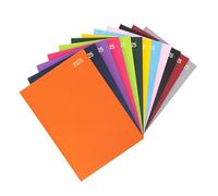 evelay 2025 A4 A5 Day to Page Diary Full Year Planner Desk Hardback Academic Organiser for Home Office School (A4 Page a Day, Orange)