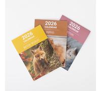 evelay 2026 British Wildlife Wall Calendar Slim Month to View Family Planner Organiser with UK Holidays (British Wildlife)