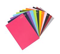 evelay 2026 Diary A4 A5 Day to Page Hardback Full Year Planner Organiser Journal (A4 Page a Day, Cerise Pink)