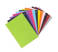 evelay 2026 Diary A4 A5 Day to Page Hardback Full Year Planner Organiser Journal (A4 Page a Day, Lime)