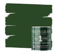 Evelyn Grant All-In-One Paint & Primer - Multi-Surface For Walls, Wood, Interior & Exterior - Forest Green - 5L - Matt