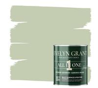 Evelyn Grant All-In-One Paint & Primer - Multi-Surface For Walls, Wood, Interior & Exterior - Sage Green - 0.5L - Matt