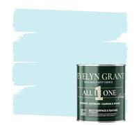 Evelyn Grant All-IN-ONE Paint & Primer - Multi-Surface Paint For Interior Walls, Outdoor Garden & Exterior Walls, Wood Furniture | High Durability Multi-Feature - Baby Blue - 5L - Matt