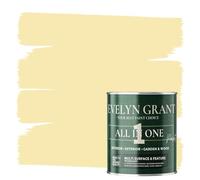 Evelyn Grant All-IN-ONE Paint & Primer - Multi-Surface Paint For Interior Walls, Outdoor Garden & Exterior Walls, Wood Furniture | High Durability Multi-Feature - Warm Yellow - 1L - Matt