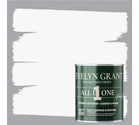 Evelyn Grant All-IN-ONE Paint & Primer - Multi-Surface Paint For Interior Walls, Outdoor Garden & Exterior Walls, Wood Furniture | High Durability Multi-Feature - Brilliant White - 1L - Satin