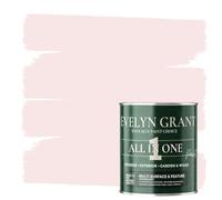 Evelyn Grant All-IN-ONE Paint & Primer - Multi-Surface Paint For Interior Walls, Outdoor Garden & Exterior Walls, Wood Furniture | High Durability Multi-Feature - Blush Pink - 1L - Matt