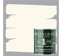 Evelyn Grant All-IN-ONE Paint & Primer - Multi-Surface Paint For Interior Walls, Outdoor Garden & Exterior Walls, Wood Furniture | High Durability Multi-Feature - Ivory Cream - 1L - Matt