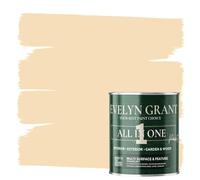 Evelyn Grant All-IN-ONE Paint & Primer - Multi-Surface Paint For Interior Walls, Outdoor Garden & Exterior Walls, Wood Furniture | High Durability Multi-Feature - Beige Linen - 1L - Matt