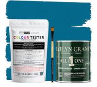 Evelyn Grant All-IN-ONE Paint & Primer - Sample Colour Tester Pot with Brush - Multi-Surface Paint For Interior Walls, Outdoor Garden & Exterior Walls, High Durability Multi-Feature Swimming Pool Blue