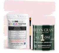 Evelyn Grant All-IN-ONE Paint & Primer - Sample Colour Tester Pot with Brush - Multi-Surface Paint For Interior Walls, Outdoor Garden & Exterior Walls, High Durability Multi-Feature Blush Pink