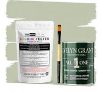 Evelyn Grant All-IN-ONE Paint & Primer - Sample Colour Tester Pot with Brush - Multi-Surface Paint For Interior Walls, Outdoor Garden & Exterior Walls, High Durability Multi-Feature Sage Green