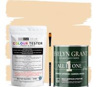 Evelyn Grant All-IN-ONE Paint & Primer - Sample Colour Tester Pot with Brush - Multi-Surface Paint For Interior Walls, Outdoor Garden & Exterior Walls, High Durability Multi-Feature Beige Linen