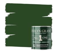 Evelyn Grant All-IN-ONE Paint & Primer - Sample Colour Tester Pot with Brush - Multi-Surface Paint For Interior Walls, Outdoor Garden & Exterior Walls, High Durability Multi-Feature Forest Green