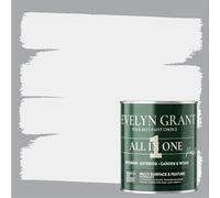 Evelyn Grant All-IN-ONE Paint & Primer - Sample Colour Tester Pot with Brush - Multi-Surface Paint For Interior Walls, Outdoor Garden & Exterior Walls, High Durability Multi-Feature Light Grey Clouds