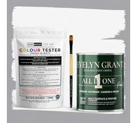 Evelyn Grant All-IN-ONE Paint & Primer - Sample Colour Tester Pot with Brush - Multi-Surface Paint For Interior Walls, Outdoor Garden & Exterior Walls, High Durability Multi-Feature Brilliant White