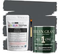 Evelyn Grant All-IN-ONE Paint & Primer - Sample Colour Tester Pot with Brush - Multi-Surface Paint For Interior Walls, Outdoor Garden & Exterior Walls, High Durability Multi-Feature Anthracite Grey