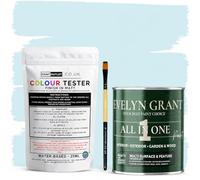 Evelyn Grant All-IN-ONE Paint & Primer - Sample Colour Tester Pot with Brush - Multi-Surface Paint For Interior Walls, Outdoor Garden & Exterior Walls, High Durability Multi-Feature Baby Blue