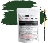 Evelyn Grant All-IN-ONE Paint & Primer - Sample Colour Tester Pouch with Brush - Multi-Surface Paint For Interior Walls, Outdoor Garden & Exterior Walls, High Durability Multi-Feature Forest Green
