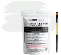 Evelyn Grant All-IN-ONE Paint & Primer - Sample Colour Tester Pouch with Brush - Multi-Surface Paint For Interior Walls, Outdoor Garden & Exterior Walls, Light Grey Clouds