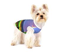 Evening Rainbow Medium Stretchy Dog T-Shirts Soft Cool Sleeveless Stripe Vests Breathable Clothes for Puppy Kitty Cats Small.
