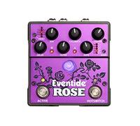 Eventide Rose