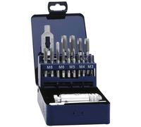 Eventus Tapping Head Set 12-Pc Metric Right Hand Cutting HSS