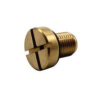 EVER STORE 17111712788 Coolant Bleeder Screw Compatible for E46 E92 E90 E36 E39 & Mini Cooper