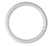 Eveready Circular Tube Triphospho