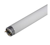 Eveready T8 Tube 4ft 36w White 3500k