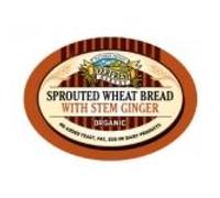 Everfresh Natural Foods Organic Sprouted Stem Ginger Bread 400g