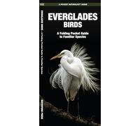 Everglades Birds: A Folding Pocket Guide to Familiar Species (A Pocket Naturalist Guide) (Pocket Naturalist Guide Series)