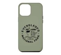 Everglades National Park Florida Wading Birds Flamingo Case for iPhone 12 Pro Max