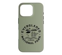 Everglades National Park Florida Wading Birds Flamingo Case for iPhone 16 Pro