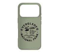 Everglades National Park Florida Wading Birds Flamingo Case for iPhone 17 Pro
