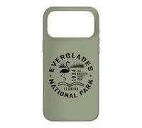 Everglades National Park Florida Wading Birds Flamingo Case for iPhone 17 Pro Max