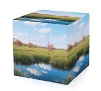 Everglades National Park Magic Cube,The Original 3x3 Cube,Speed Cube Problem-Solving Brain Teaser,Easy Turning Sensory Puzzle Toy,Sensory Stress Relief Form Fidget Toys