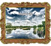 Everglades USA Fridge Magnets Travel Souvenir RefrigeratorDecoration Magnet