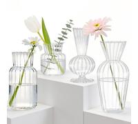 EVERGOODS Mini Glass Bud Vase Set - Small Clear Flower Vases for Table Centerpieces, Wedding Decor, Home & Living Room, Durable Embossed Glass for Buds, Dried Flowers, or Diffuser Sticks (4 Pack)
