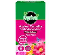 Evergreen Azalea, Camellia & Rhododendron Soluble Plant Food 1kg - Specialized Feed for Acid-Loving Plants - Promotes Vibrant Blooms & Lush Foliage