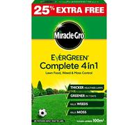 Evergreen Complete 80M With 25% Extra Free (010007)