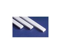 Evergreen EVG8610 6 x 10 in. Evergreen Strip