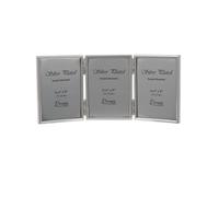 Evergreen Frame, Silver Plated, 3.5x5 [9x12cm], EG-TETL-355