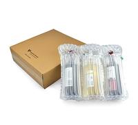 Evergreen Goods 10 Wine & Spirit Bottle Boxes with Inflatable Air Column Cushion Bags | Protective Bottle Bags with Cardboard Boxes for Safe Transportation of Glass Bottles (Box and Bag for 3 Bottles)