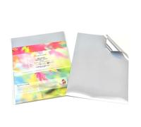 Evergreen Goods 10x A4 Brushed Silver Self-Adhesive Vinyl Stickers