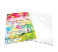 Evergreen Goods A4 Clear Glossy Self-Adhesive Vinyl Stickers | 20 Sheets | Inkjet Printable Transparent Sticker Paper | Sticky Back | Customisable Printing Labels for Signs, Product Labels