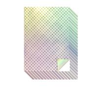 Evergreen Goods A4 Holographic Silver Glossy Printable Vinyl | 10 Sheets