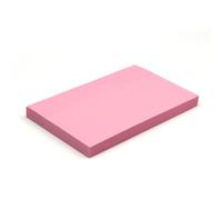 Evergreen Goods Pastel Pink Rectangle Sticky Notes 76 x 127 mm (3"x 5")