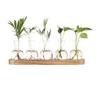 Everkeen Propagation Stations with Vintage Wooden Pallet,Bulb Tabletop Glass Vase for Propagating Hydroponic, Living Room,Office,Garden,Festival Decoration, for Family and Friends